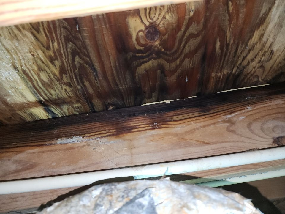 Water damage - wet wood inside wall - water leak in wall - water leak in ceiling - water restoration - Independent Restoration Services - Middle Tennessee